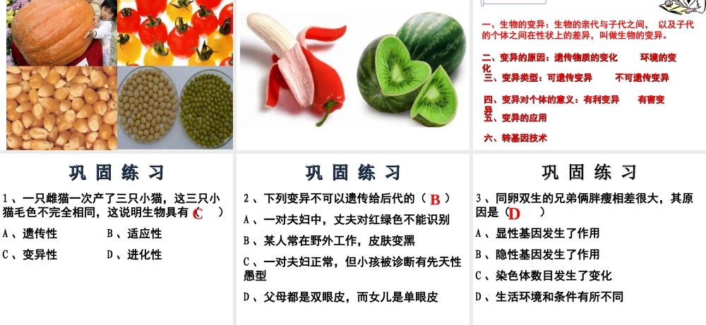 八年级生物下册 第7单元 生命的延续与进化 第22章 第2节《生物的变异》课件3 （新版）苏科版-（新版）苏科版初中八年级下册生物课件