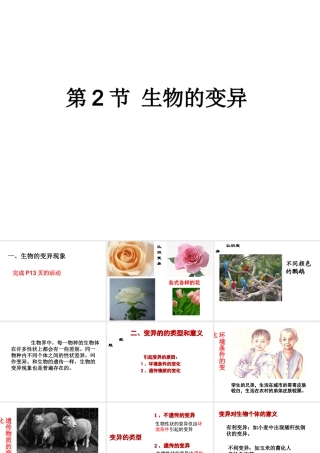八年级生物下册 第7单元 生命的延续与进化 第22章 第2节《生物的变异》课件3 （新版）苏科版-（新版）苏科版初中八年级下册生物课件