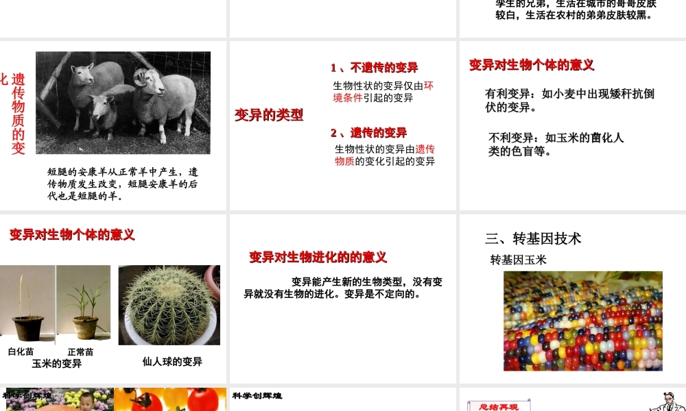 八年级生物下册 第7单元 生命的延续与进化 第22章 第2节《生物的变异》课件3 （新版）苏科版-（新版）苏科级下册生物课件