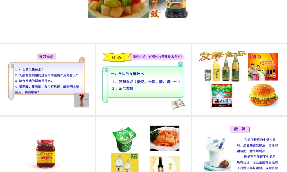 八年级生物下册 第25章 第1节《发酵技术》课件 （新版）北师大版