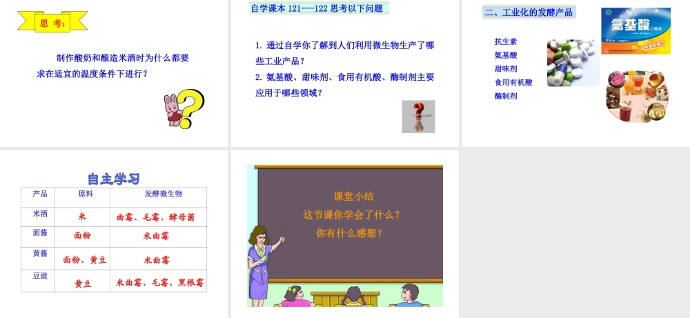 八年级生物下册 第25章 第1节《发酵技术》课件 （新版）北师大版