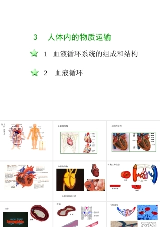 八年级科学上册 第七章第三节人体内的物质运输课件 华东师大版