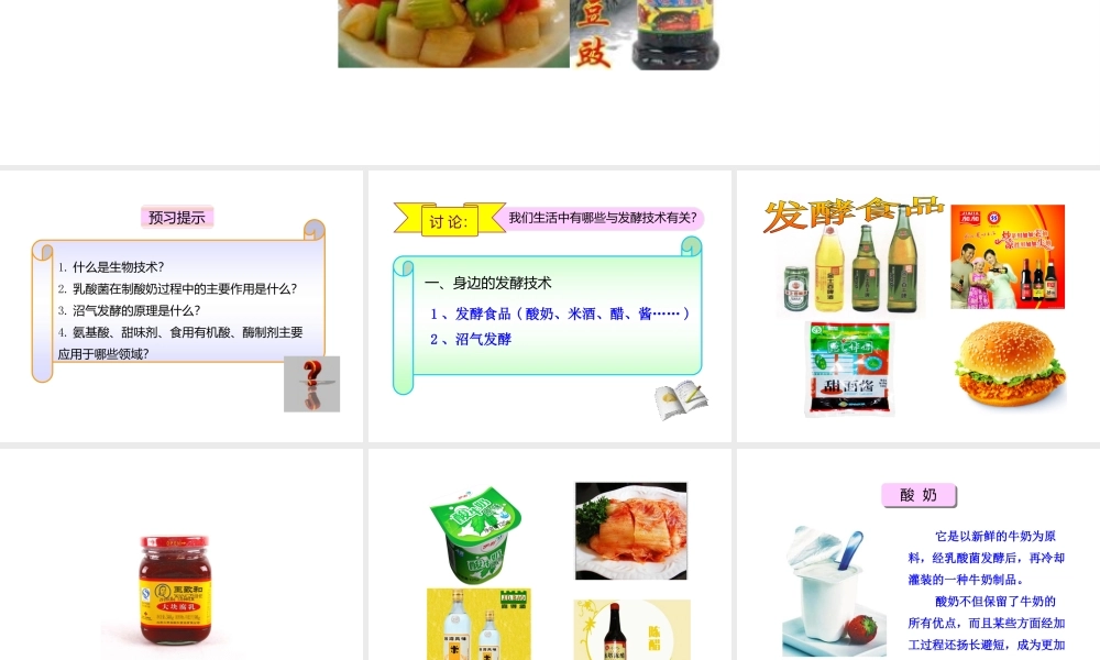 八年级生物下册 第25章 第1节《发酵技术》课件 北师大版