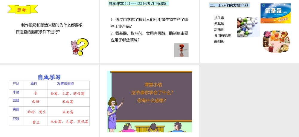 八年级生物下册 第25章 第1节《发酵技术》课件 北师大版