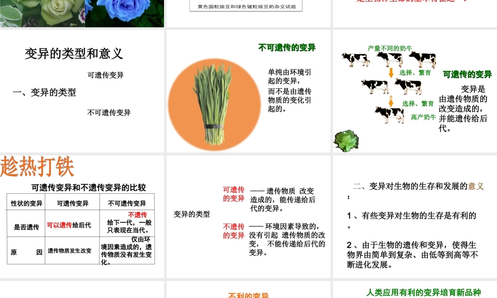 八年级生物下册 第7单元 生命的延续与进化 第22章 第2节《生物的变异》课件4 （新版）苏科版-（新版）苏科版初中八年级下册生物课件
