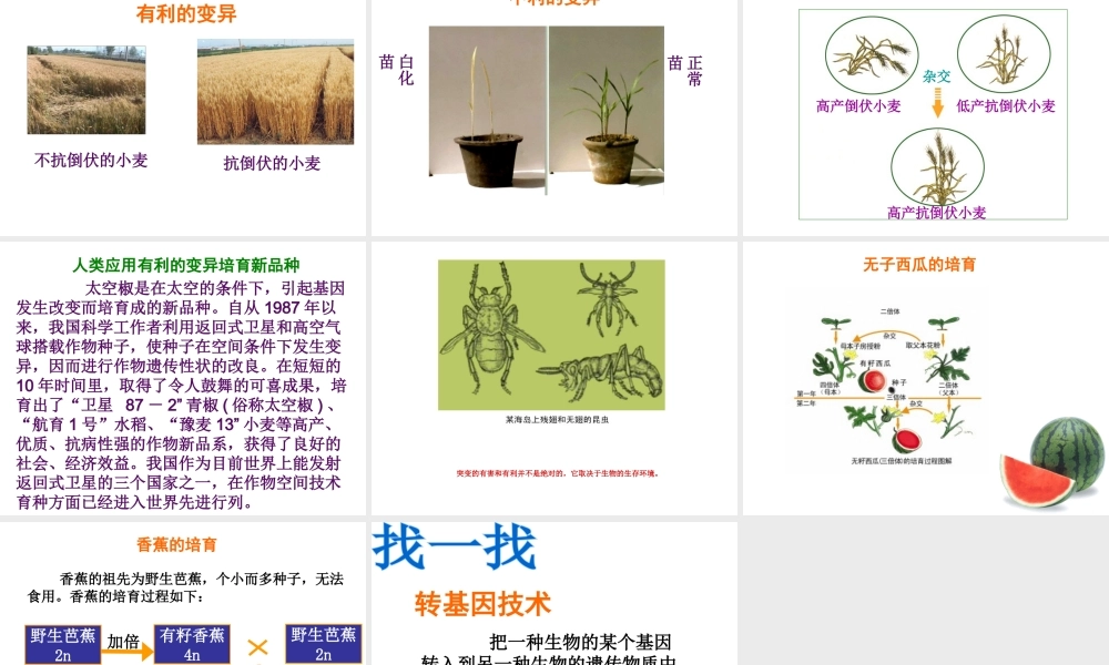 八年级生物下册 第7单元 生命的延续与进化 第22章 第2节《生物的变异》课件4 （新版）苏科版-（新版）苏科级下册生物课件