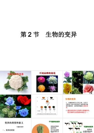 八年级生物下册 第7单元 生命的延续与进化 第22章 第2节《生物的变异》课件4 （新版）苏科版-（新版）苏科级下册生物课件
