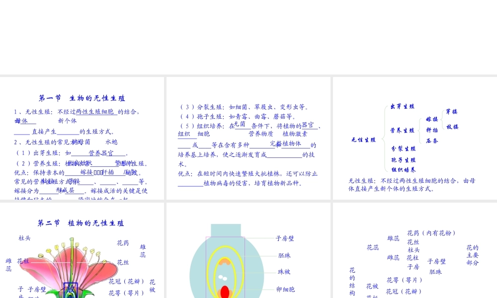 八年级生物下册 第二十一章 生物的生殖与发育课件 苏教版