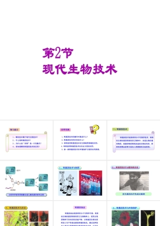 八年级生物下册 第25章 第2节《现代生物技术》课件 （新版）北师大版