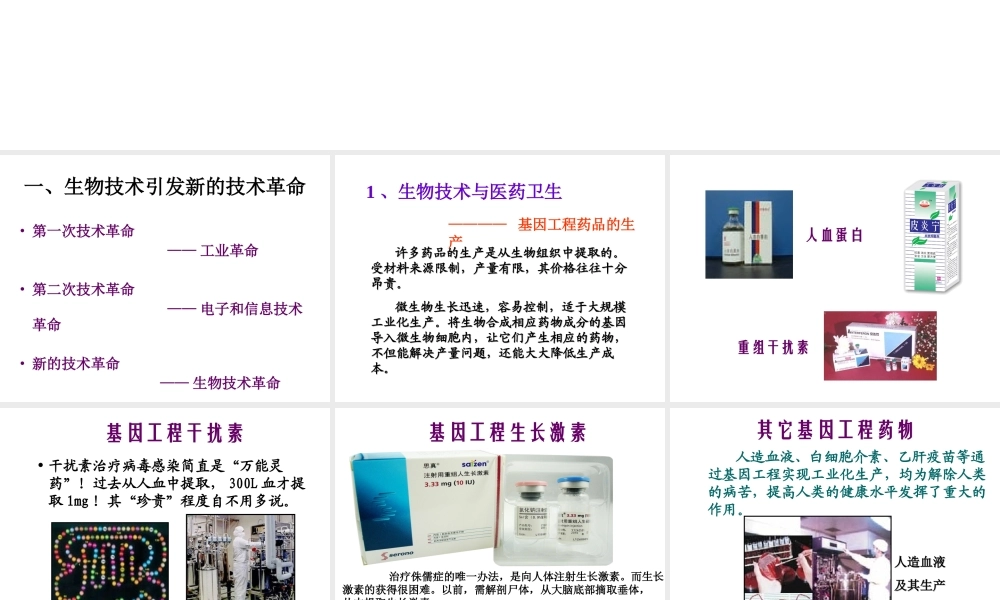 八年级生物下册 第九单元 第24章 第二节 关注生物技术课件 （新版）苏教版