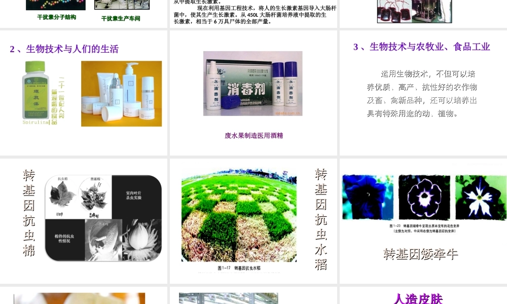 八年级生物下册 第九单元 第24章 第二节 关注生物技术课件 （新版）苏教版