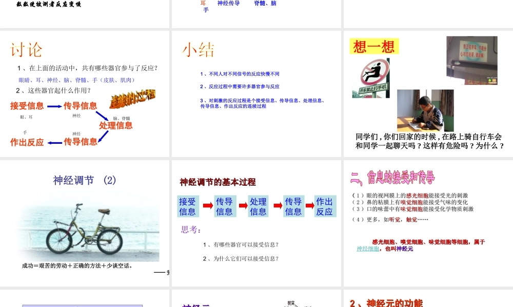 八年级科学上册 第三章第三节神经调节课件 浙教版