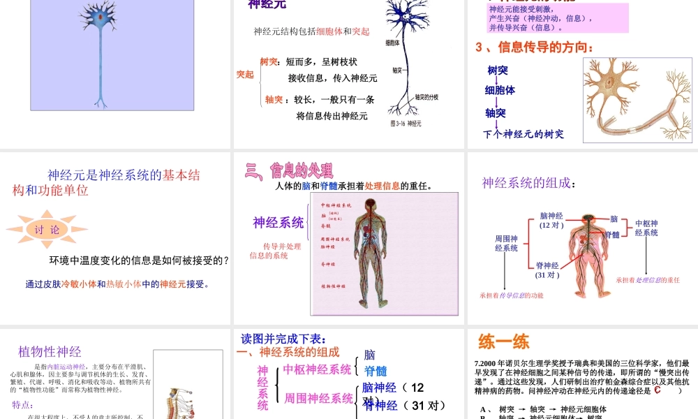 八年级科学上册 第三章第三节神经调节课件 浙教版