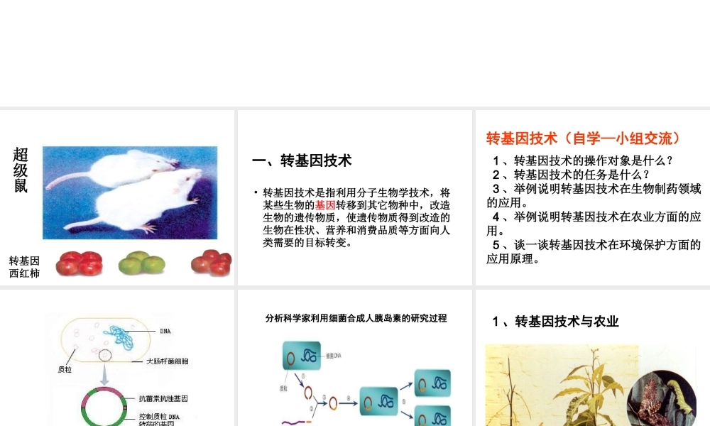 八年级生物下册 第25章 第二节 现代生物技术课件1 （新版）北师大版