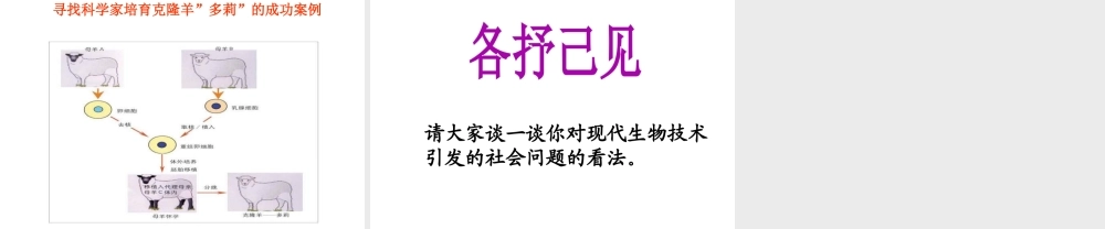 八年级生物下册 第25章 第二节 现代生物技术课件1 （新版）北师大版
