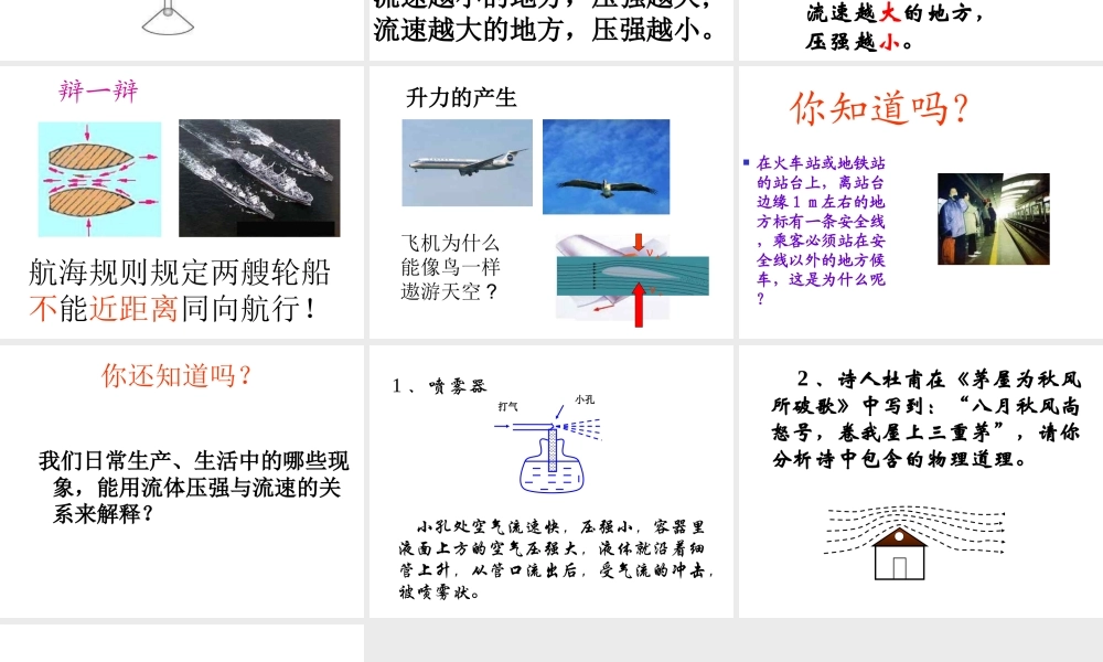 八年级科学上册 第2章 压力 压强 4《流体的压强与流速的关系》课件2 （新版）华东师大版-（新版）华东师大版初中八年级上册自然科学课件