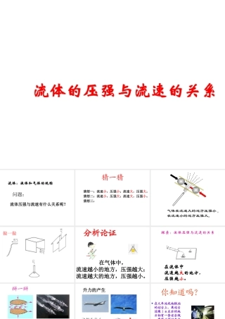 八年级科学上册 第2章 压力 压强 4《流体的压强与流速的关系》课件2 （新版）华东师大版-（新版）华东师大版初中八年级上册自然科学课件