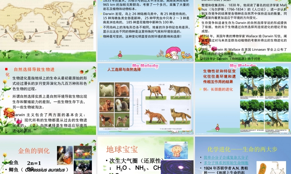 八年级生物下册 第7单元 生命的延续与进化 第23章 第1节《生命的起源》课件3 （新版）苏科版-（新版）苏科版初中八年级下册生物课件