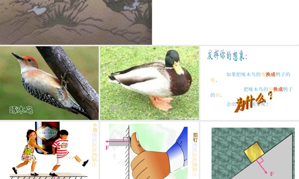 八年级科学上册 第三章压强课件 华师大版