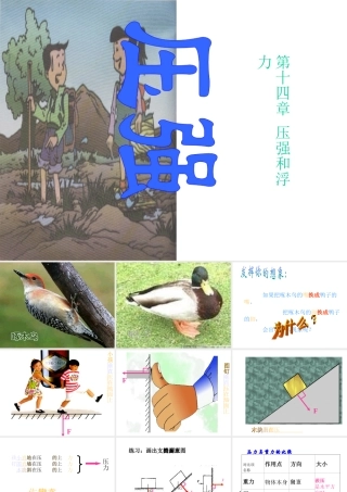 八年级科学上册 第三章压强课件 华师大版