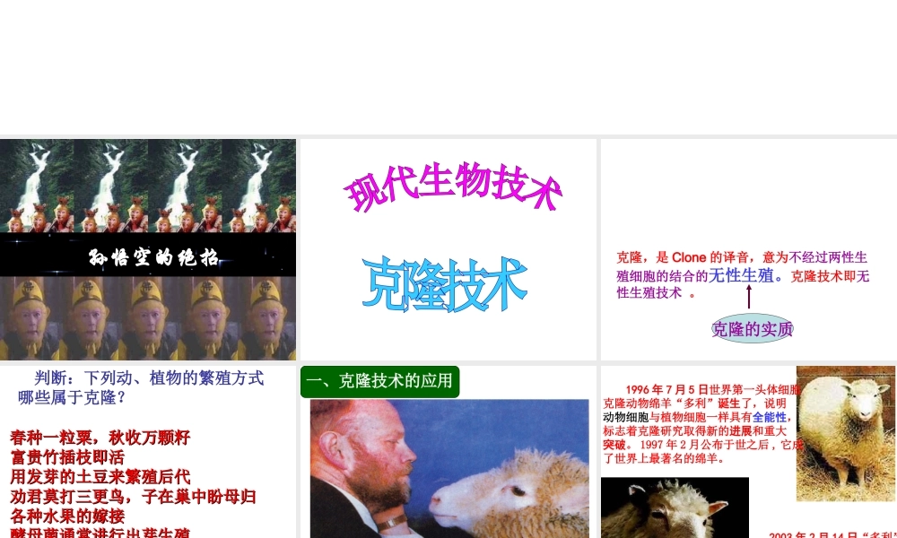 八年级生物下册 第25章 第二节 现代生物技术课件2 （新版）北师大版