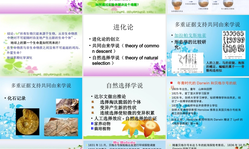 八年级生物下册 第7单元 生命的延续与进化 第23章 第1节《生命的起源》课件3 （新版）苏科版-（新版）苏科级下册生物课件