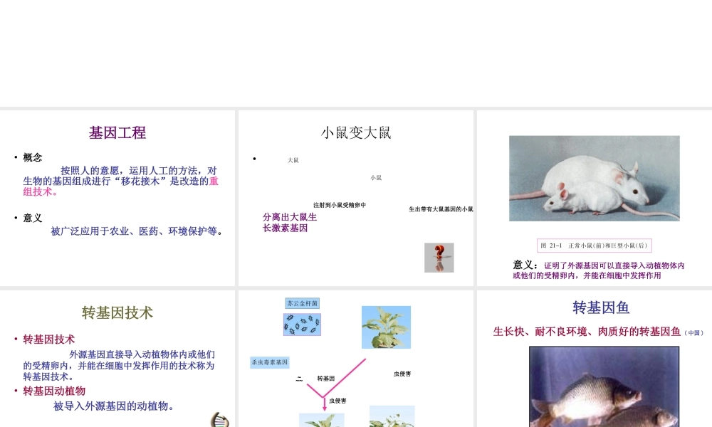 八年级生物下册 第25章 第二节 现代生物技术课件3 （新版）北师大版