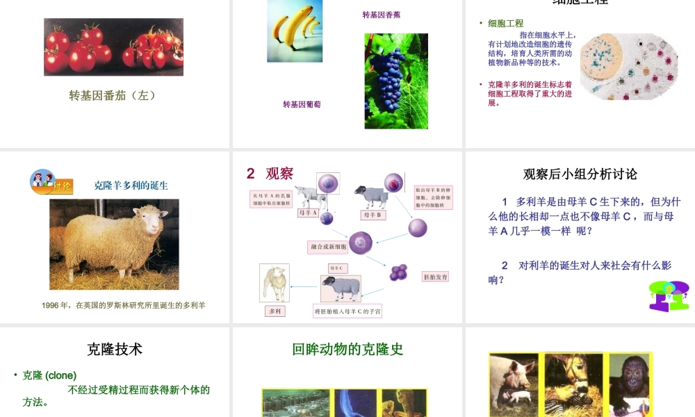 八年级生物下册 第25章 第二节 现代生物技术课件3 （新版）北师大版