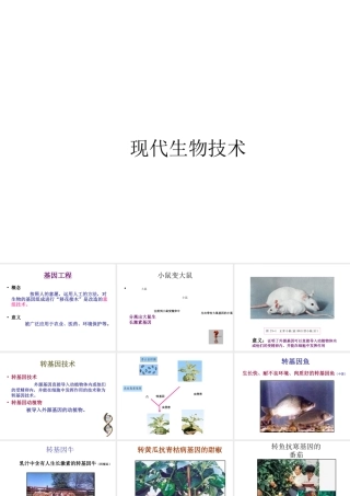 八年级生物下册 第25章 第二节 现代生物技术课件3 （新版）北师大版