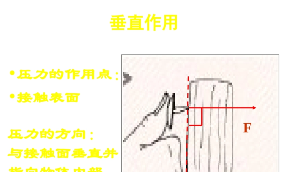 八年级科学上册 第2章 压力 压强复习课件 （新版）华东师大版-（新版）华东师大版初中八年级上册自然科学课件