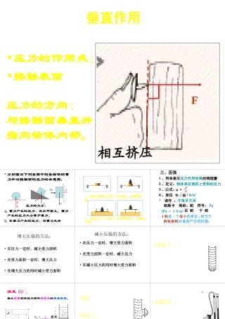 八年级科学上册 第2章 压力 压强复习课件 （新版）华东师大版-（新版）华东师大版初中八年级上册自然科学课件