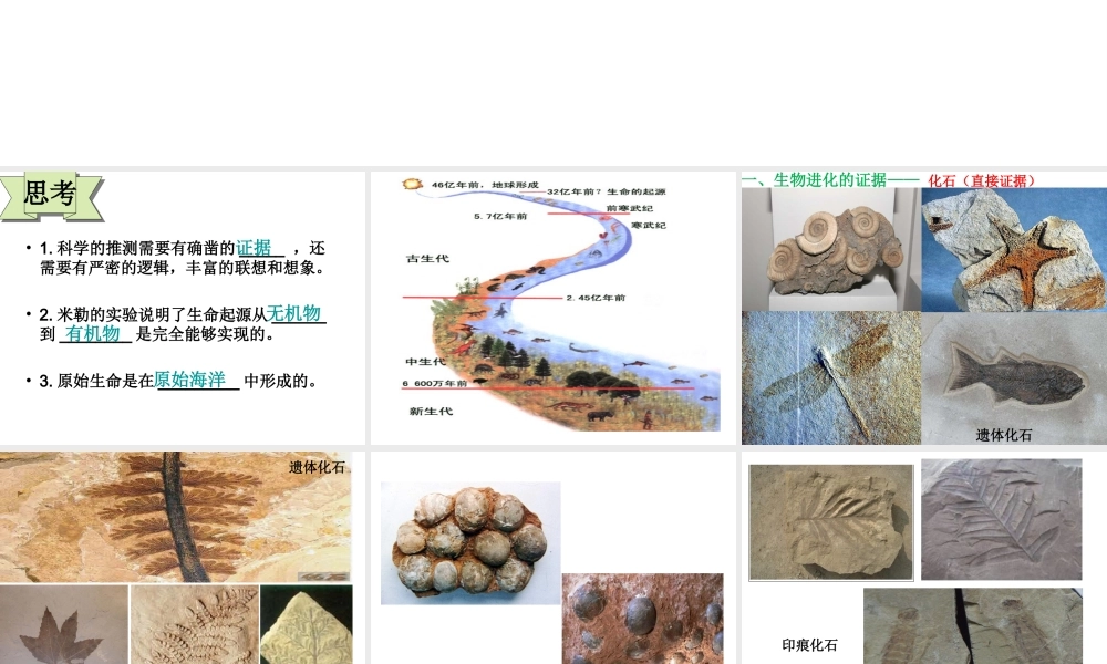八年级生物下册 第7单元 生命的延续与进化 第23章 第2节《生物进化的历程》教学课件 （新版）苏科版-（新版）苏科版初中八年级下册生物课件