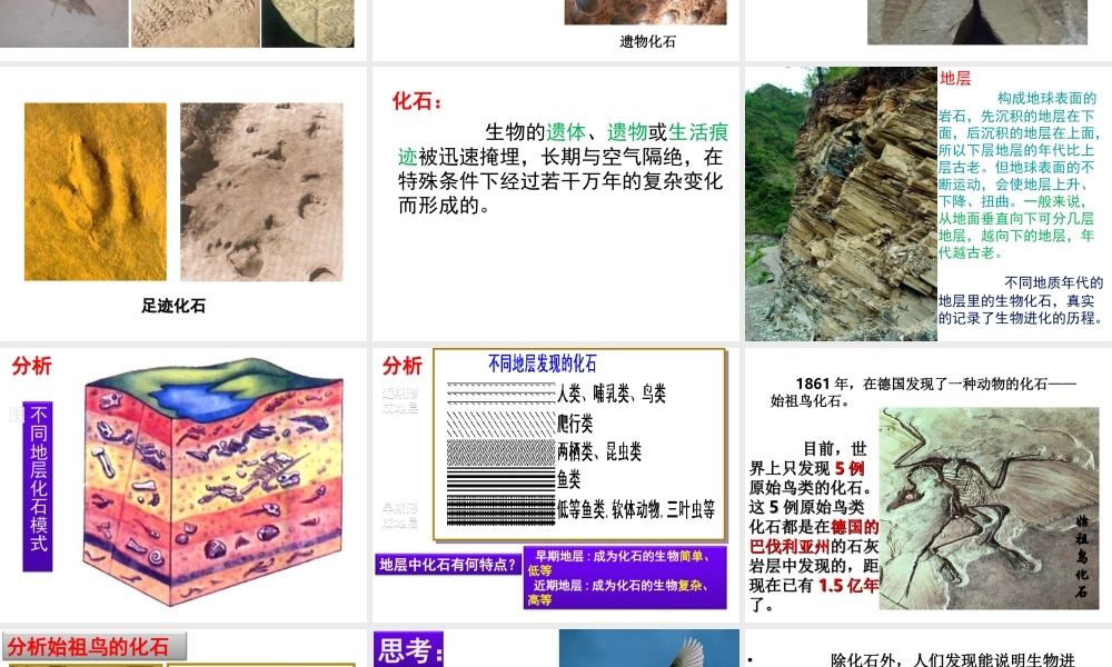 八年级生物下册 第7单元 生命的延续与进化 第23章 第2节《生物进化的历程》教学课件 （新版）苏科版-（新版）苏科版初中八年级下册生物课件