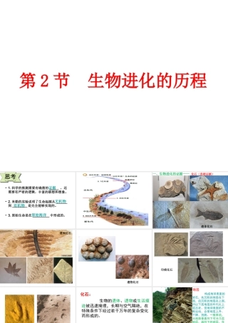 八年级生物下册 第7单元 生命的延续与进化 第23章 第2节《生物进化的历程》教学课件 （新版）苏科版-（新版）苏科版初中八年级下册生物课件