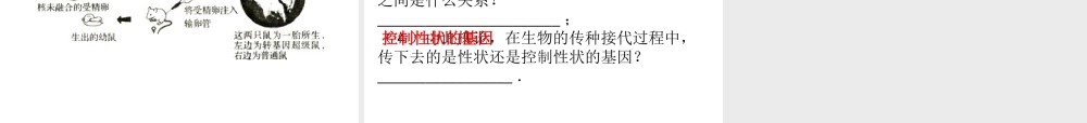 八年级生物下册 第九单元 第25章 生物技术综合检测课件 （新版）北师大版-（新版）北师大级下册生物课件
