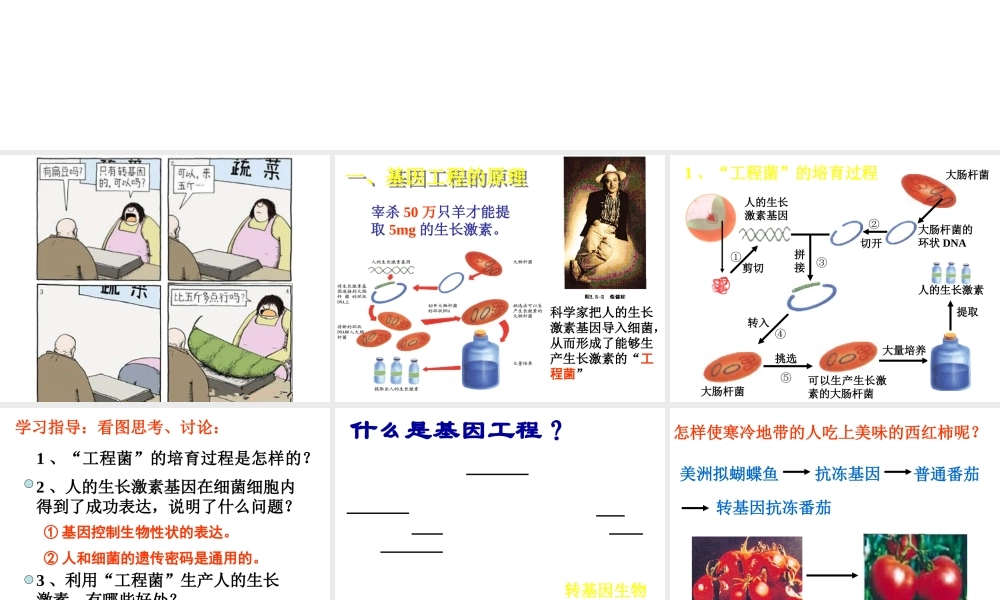 八年级生物下册 第25章 第二节 现代生物技术课件4 （新版）北师大版