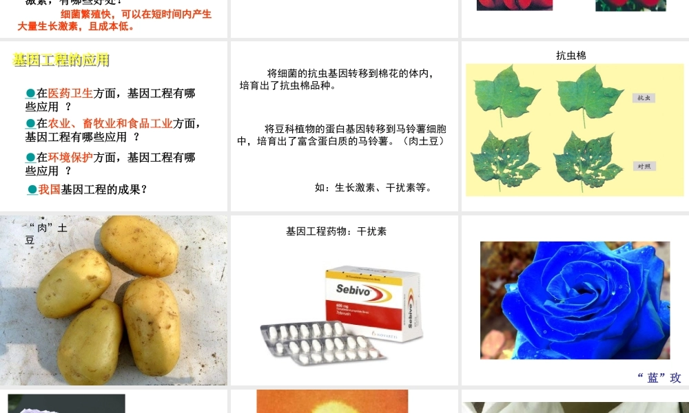 八年级生物下册 第25章 第二节 现代生物技术课件4 （新版）北师大版