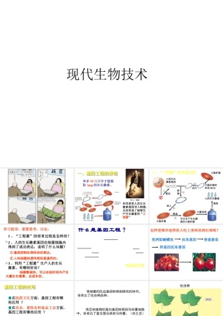 八年级生物下册 第25章 第二节 现代生物技术课件4 （新版）北师大版