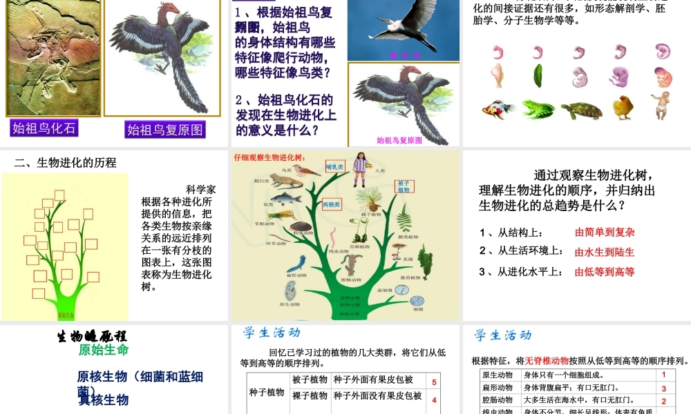 八年级生物下册 第7单元 生命的延续与进化 第23章 第2节《生物进化的历程》教学课件 （新版）苏科版-（新版）苏科级下册生物课件