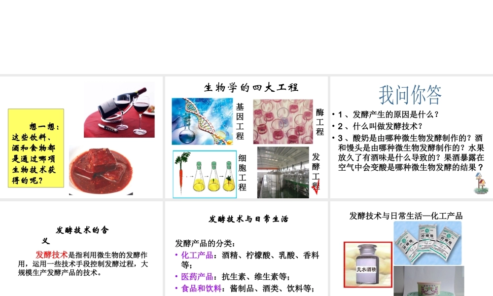 八年级生物下册 第25章 第一节 发酵技术课件1 （新版）北师大版