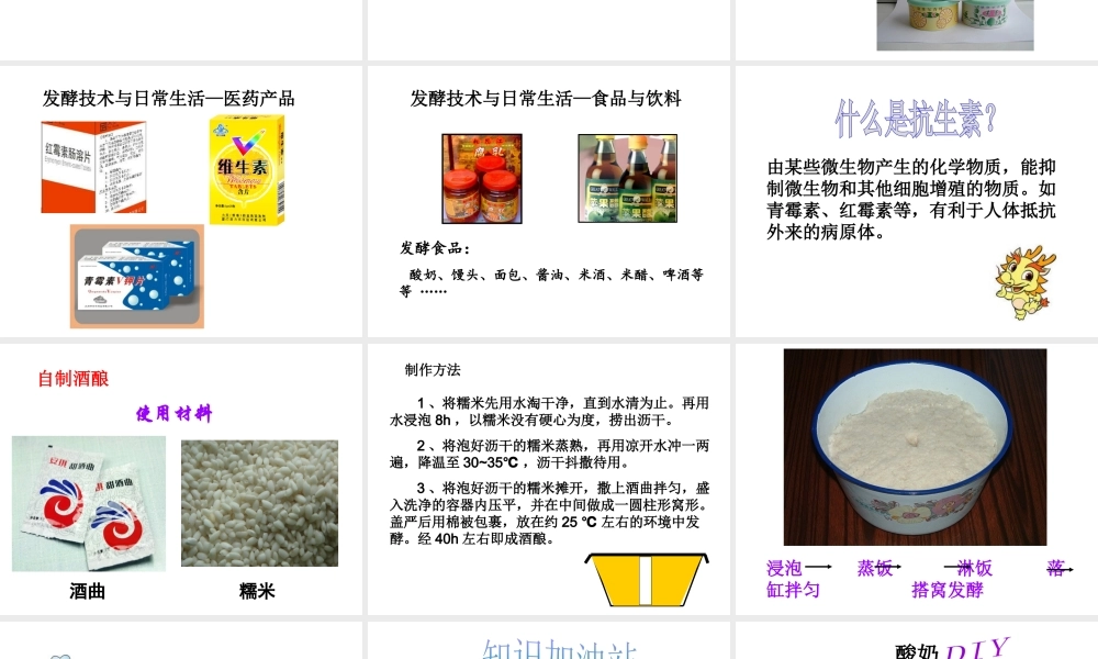 八年级生物下册 第25章 第一节 发酵技术课件1 （新版）北师大版