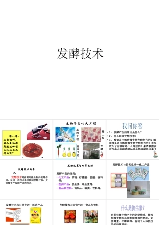 八年级生物下册 第25章 第一节 发酵技术课件1 （新版）北师大版