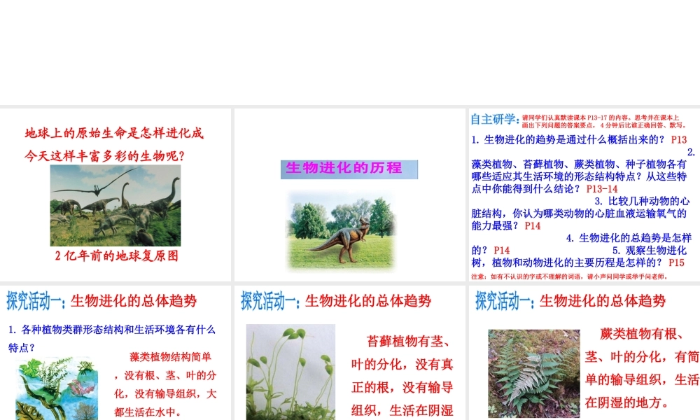 八年级生物下册 第7单元 生命的延续与进化 第23章 第2节《生物进化的历程》课件1 （新版）苏科版-（新版）苏科版初中八年级下册生物课件