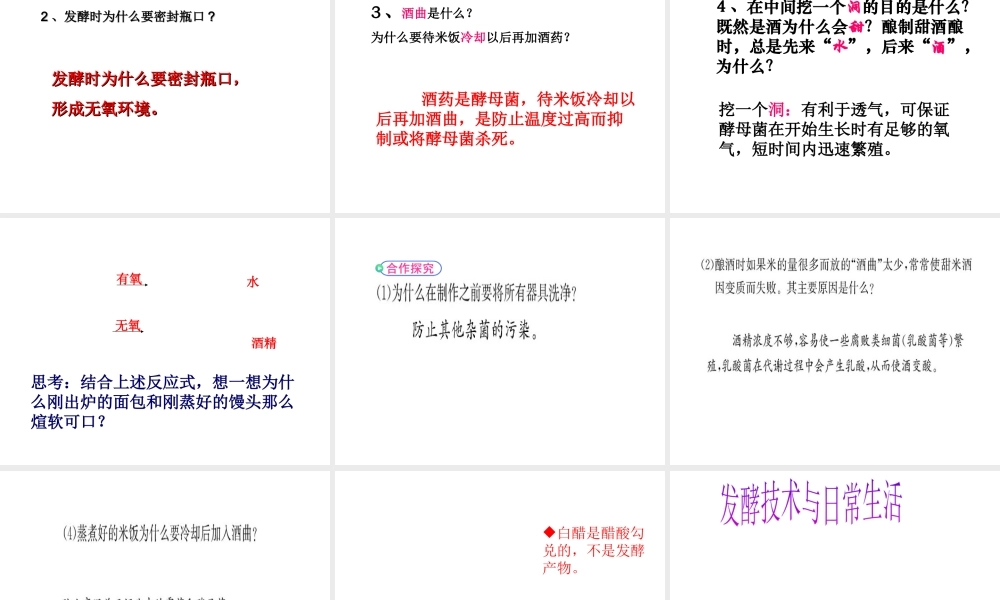 八年级生物下册 第25章 第一节 发酵技术课件2  （新版）北师大版