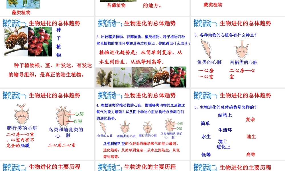 八年级生物下册 第7单元 生命的延续与进化 第23章 第2节《生物进化的历程》课件1 （新版）苏科版-（新版）苏科级下册生物课件