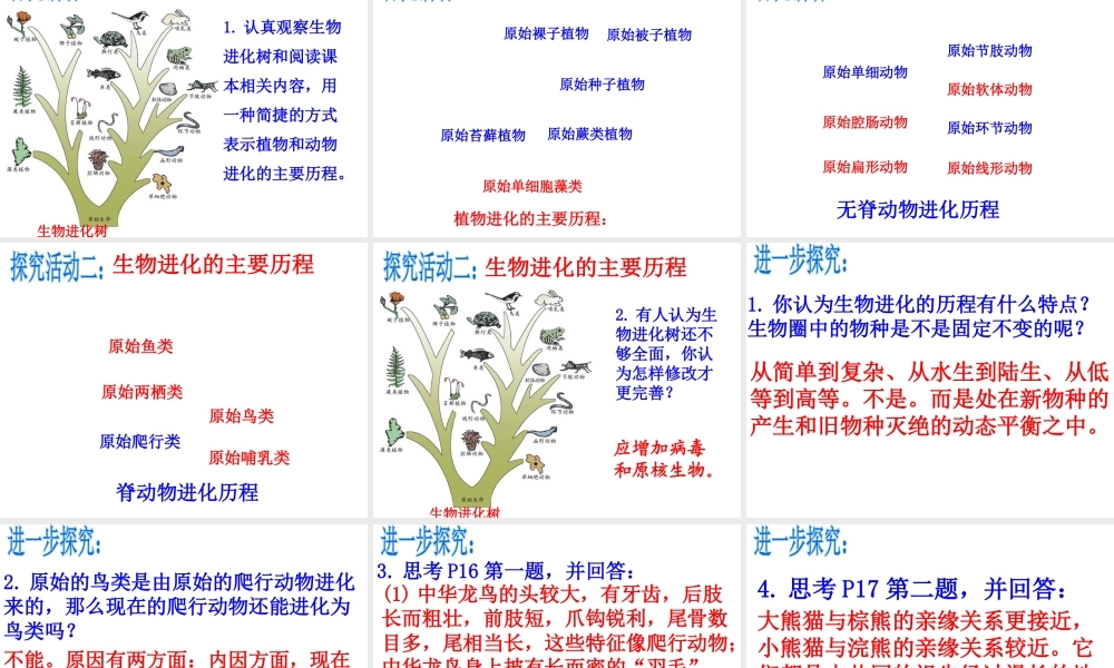 八年级生物下册 第7单元 生命的延续与进化 第23章 第2节《生物进化的历程》课件1 （新版）苏科版-（新版）苏科级下册生物课件