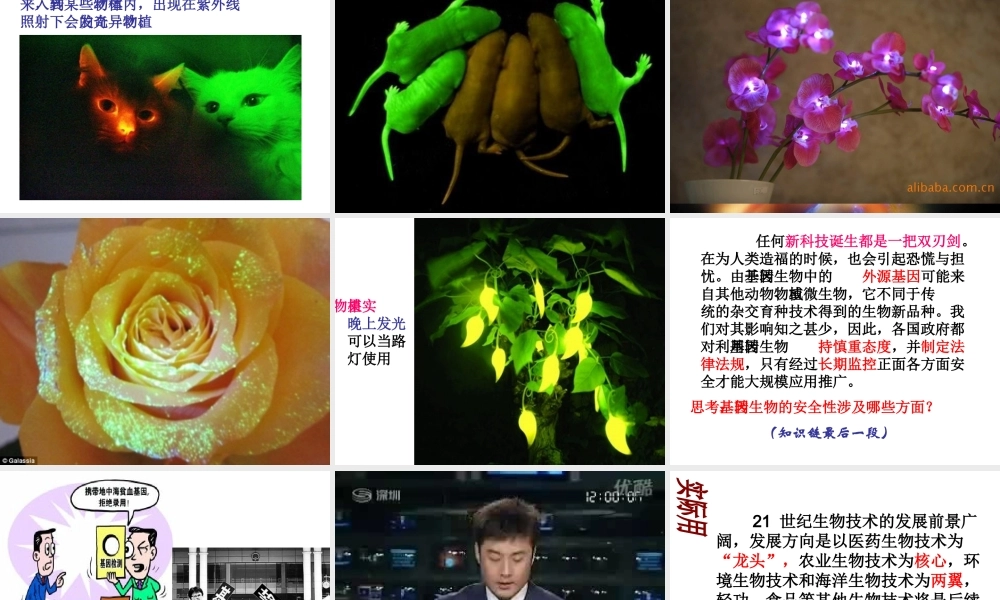 八年级生物下册 第八单元 第三章 生物技术的发展对人类未来的影响课件 冀教版-冀教版初中八年级下册生物课件