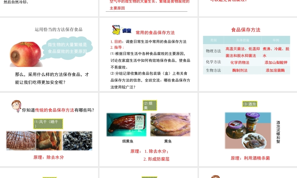 八年级生物下册 第九单元 生物技术 第二十三章 日常生活中的生物技术 第二节 食品保存课件2（新版）苏教版-（新版）苏教版初中八年级下册生物课件