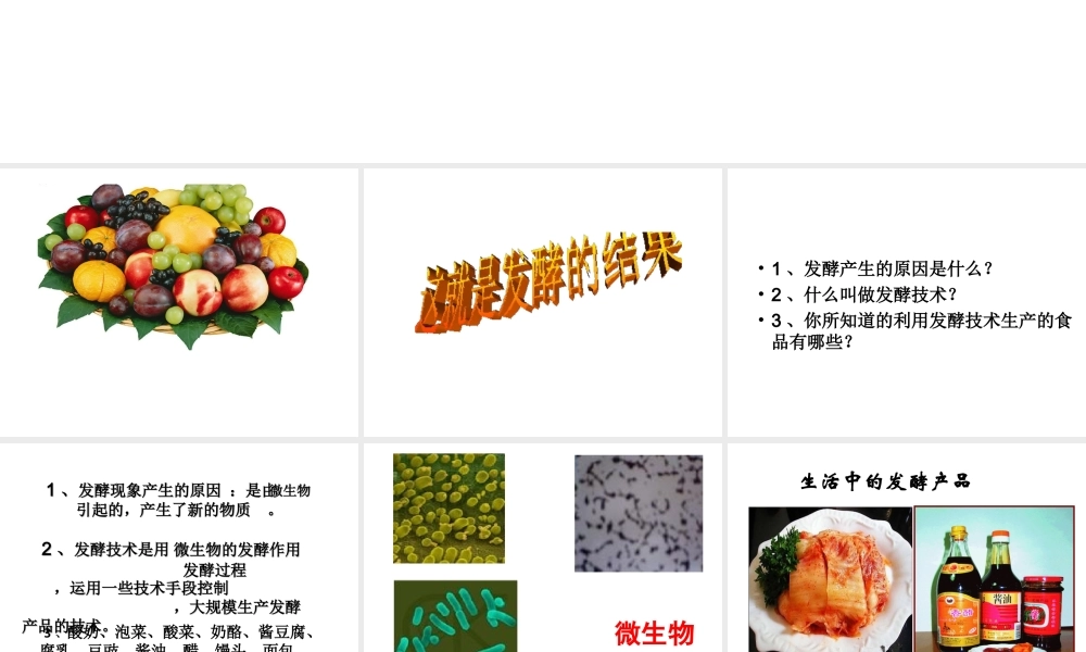 八年级生物下册 第25章 第一节 发酵技术课件2 （新版）北师大版