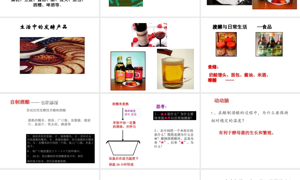 八年级生物下册 第25章 第一节 发酵技术课件2 （新版）北师大版